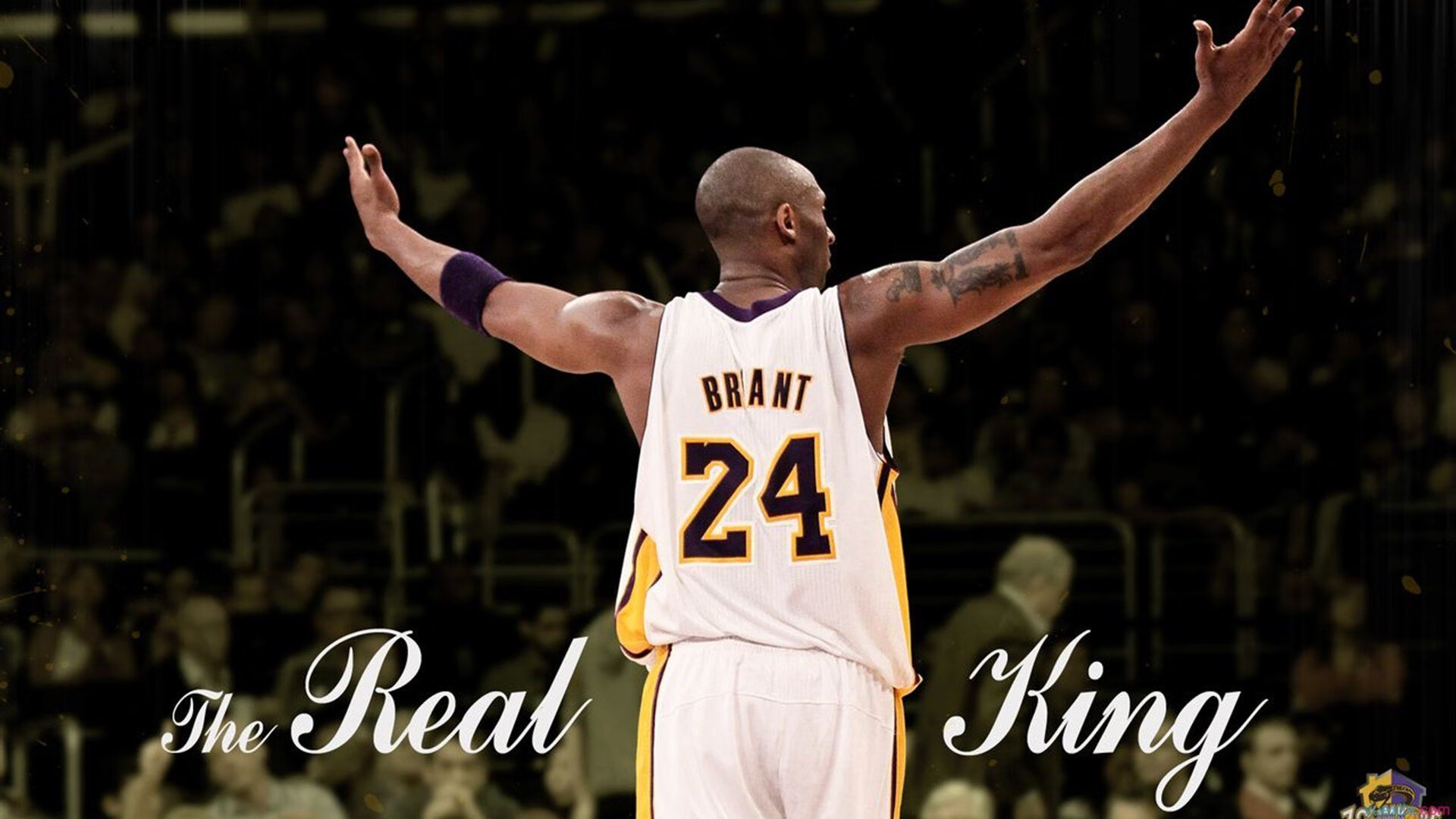 锡安统治全场，凯尔特人掀翻骑士，新势力崛起与旧秩序的碰撞